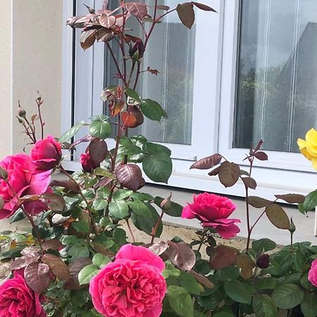 Chambre Chez L'Habitant "Les Roses De Sene" المظهر الخارجي الصورة