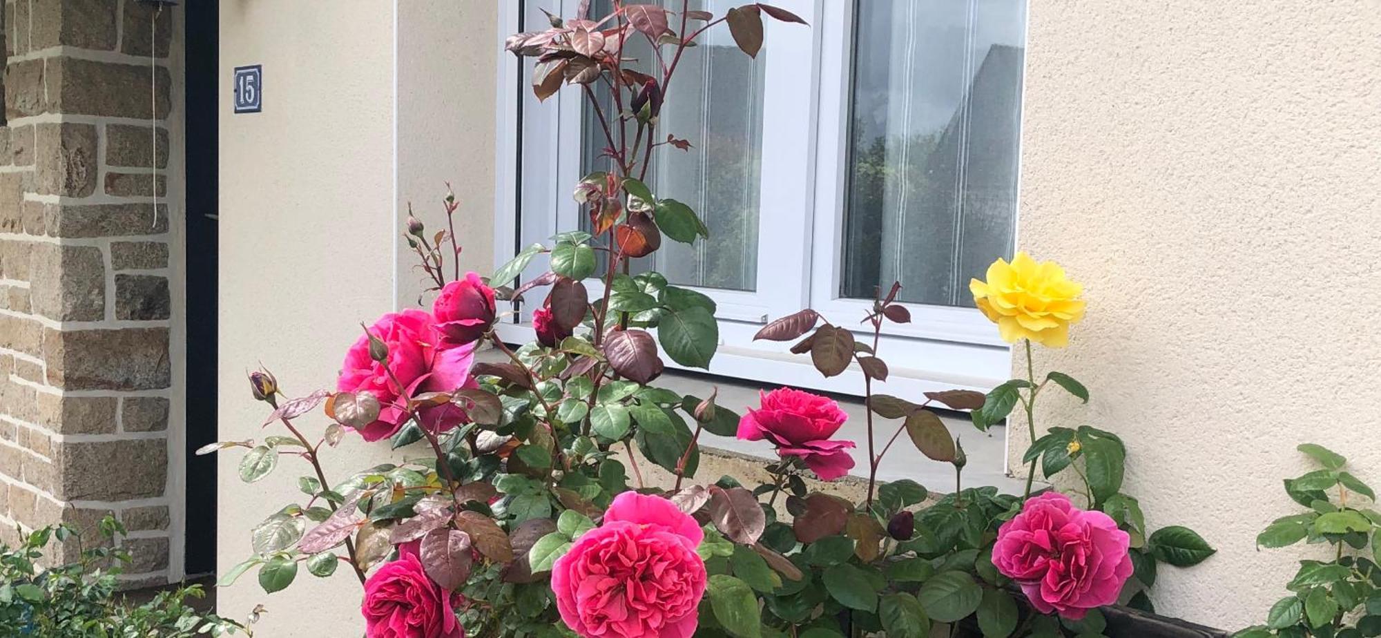 Chambre Chez L'Habitant "Les Roses De Sene" المظهر الخارجي الصورة